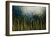 Water Course-Kari Taylor-Framed Giclee Print