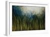 Water Course-Kari Taylor-Framed Giclee Print