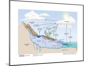Water Cycle, Atmosphere, Earth Sciences-Encyclopaedia Britannica-Mounted Poster