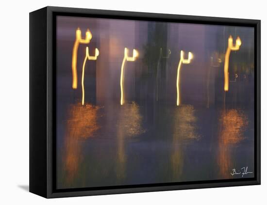 Water Dance-5fishcreative-Framed Stretched Canvas