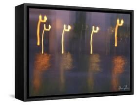 Water Dance-5fishcreative-Framed Stretched Canvas