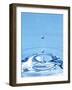 Water Drop Impact-Tony McConnell-Framed Photographic Print