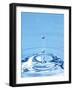 Water Drop Impact-Tony McConnell-Framed Photographic Print