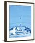 Water Drop Impact-Tony McConnell-Framed Photographic Print