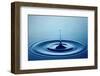 Water Drop (Shallow DOF with Focus on Top Drop)-Johan Swanepoel-Framed Photographic Print