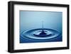 Water Drop (Shallow DOF with Focus on Top Drop)-Johan Swanepoel-Framed Photographic Print