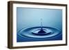 Water Drop (Shallow DOF with Focus on Top Drop)-Johan Swanepoel-Framed Photographic Print