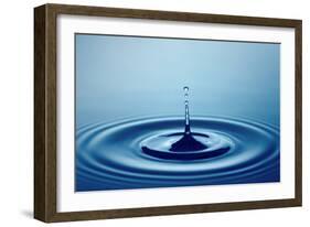 Water Drop (Shallow DOF with Focus on Top Drop)-Johan Swanepoel-Framed Photographic Print