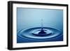 Water Drop (Shallow DOF with Focus on Top Drop)-Johan Swanepoel-Framed Photographic Print