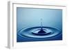 Water Drop (Shallow DOF with Focus on Top Drop)-Johan Swanepoel-Framed Photographic Print