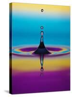 Water Drop-Adam Hart-Davis-Stretched Canvas