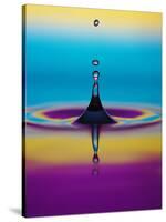 Water Drop-Adam Hart-Davis-Stretched Canvas