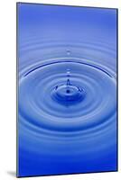 Water Drop-null-Mounted Photographic Print