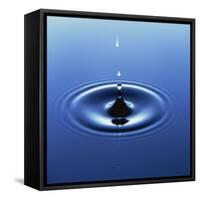 Water Droplet Hitting Water Surface Creating Ripples-Roy Rainford-Framed Stretched Canvas