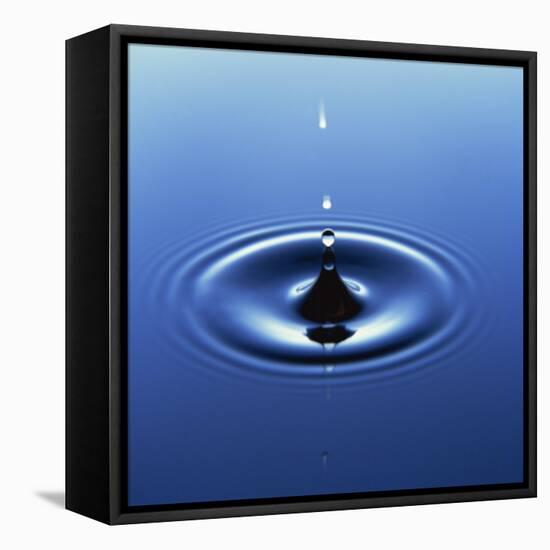 Water Droplet Hitting Water Surface Creating Ripples-Roy Rainford-Framed Stretched Canvas