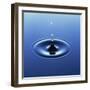 Water Droplet Hitting Water Surface Creating Ripples-Roy Rainford-Framed Photographic Print