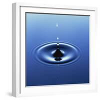 Water Droplet Hitting Water Surface Creating Ripples-Roy Rainford-Framed Photographic Print