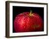 Water Droplet on Glossy Surface of Red Apple-Satakorn-Framed Photographic Print