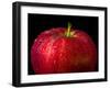 Water Droplet on Glossy Surface of Red Apple-Satakorn-Framed Photographic Print