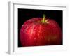 Water Droplet on Glossy Surface of Red Apple-Satakorn-Framed Photographic Print