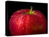 Water Droplet on Glossy Surface of Red Apple-Satakorn-Stretched Canvas