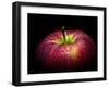 Water Droplet on Glossy Surface of Red Apple-Satakorn-Framed Photographic Print