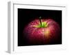 Water Droplet on Glossy Surface of Red Apple-Satakorn-Framed Photographic Print