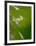 Water Droplets on Grass, Dali, Yunnan, China-Porteous Rod-Framed Photographic Print