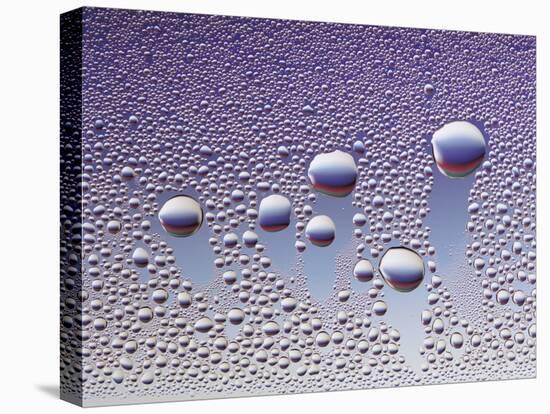 Water Droplets-null-Stretched Canvas