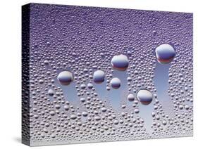 Water Droplets-null-Stretched Canvas