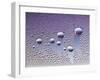 Water Droplets-null-Framed Photo