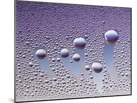 Water Droplets-null-Mounted Photo