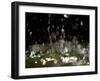 Water Drops Falling-null-Framed Photographic Print