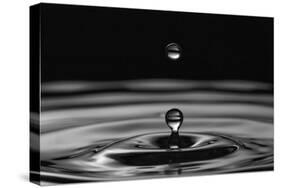 Water Drops-marosbauer-Stretched Canvas