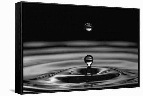 Water Drops-marosbauer-Framed Stretched Canvas