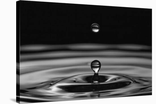 Water Drops-marosbauer-Stretched Canvas