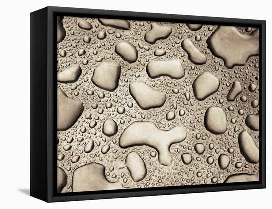 Water Drops-null-Framed Stretched Canvas