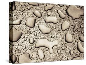 Water Drops-null-Stretched Canvas