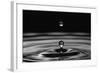 Water Drops-marosbauer-Framed Photographic Print