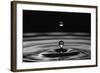 Water Drops-marosbauer-Framed Photographic Print