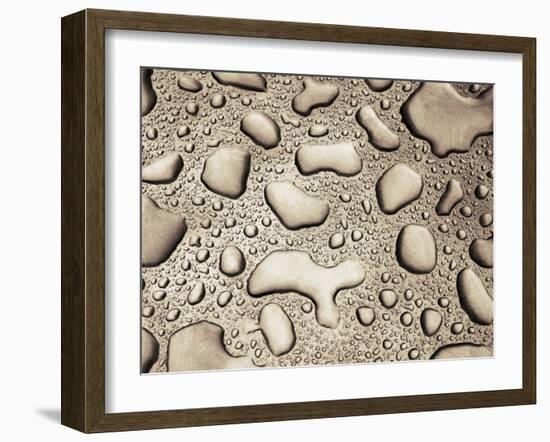 Water Drops-null-Framed Photographic Print