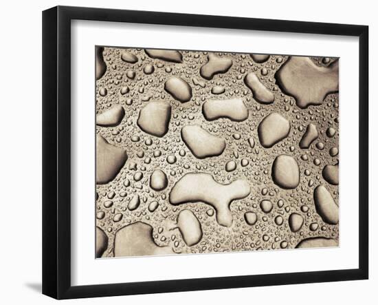 Water Drops-null-Framed Photographic Print