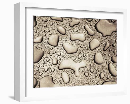 Water Drops-null-Framed Photographic Print