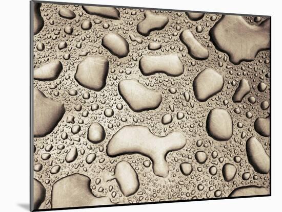 Water Drops-null-Mounted Photographic Print