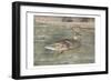 Water Duck-Sheldon Lewis-Framed Art Print