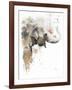 Water Elephant-Patricia Pinto-Framed Art Print