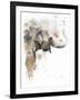 Water Elephant-Patricia Pinto-Framed Art Print