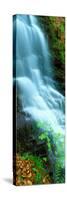 Water Falling from Rocks, Aberfeldy, Perthshire, Scotland-null-Stretched Canvas