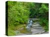 Water falling from rocks, Eagle Cliff Falls, Havana Glen Park, Finger Lakes Region, New York Sta...-null-Stretched Canvas