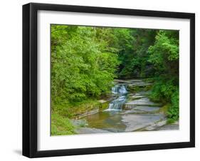 Water falling from rocks, Eagle Cliff Falls, Havana Glen Park, Finger Lakes Region, New York Sta...-null-Framed Photographic Print